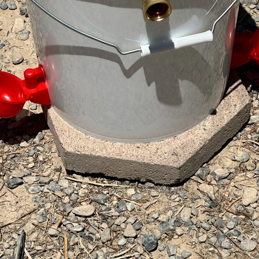 Automatic water feeder